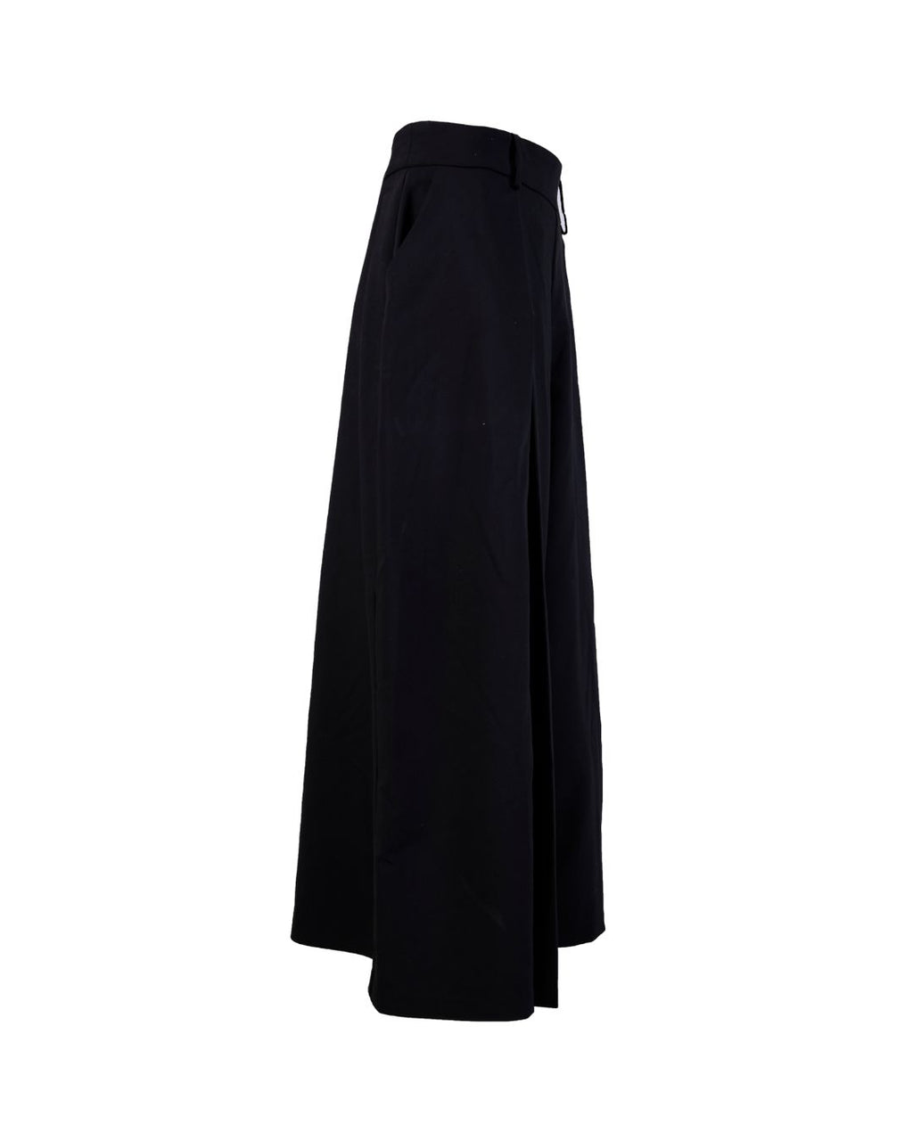 WIDE PLEATED PANTS