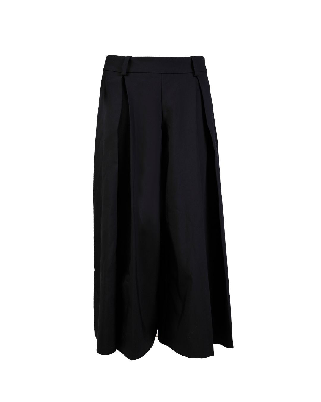 WIDE PLEATED PANTS