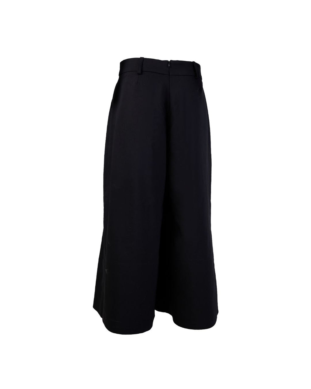 WIDE PLEATED PANTS