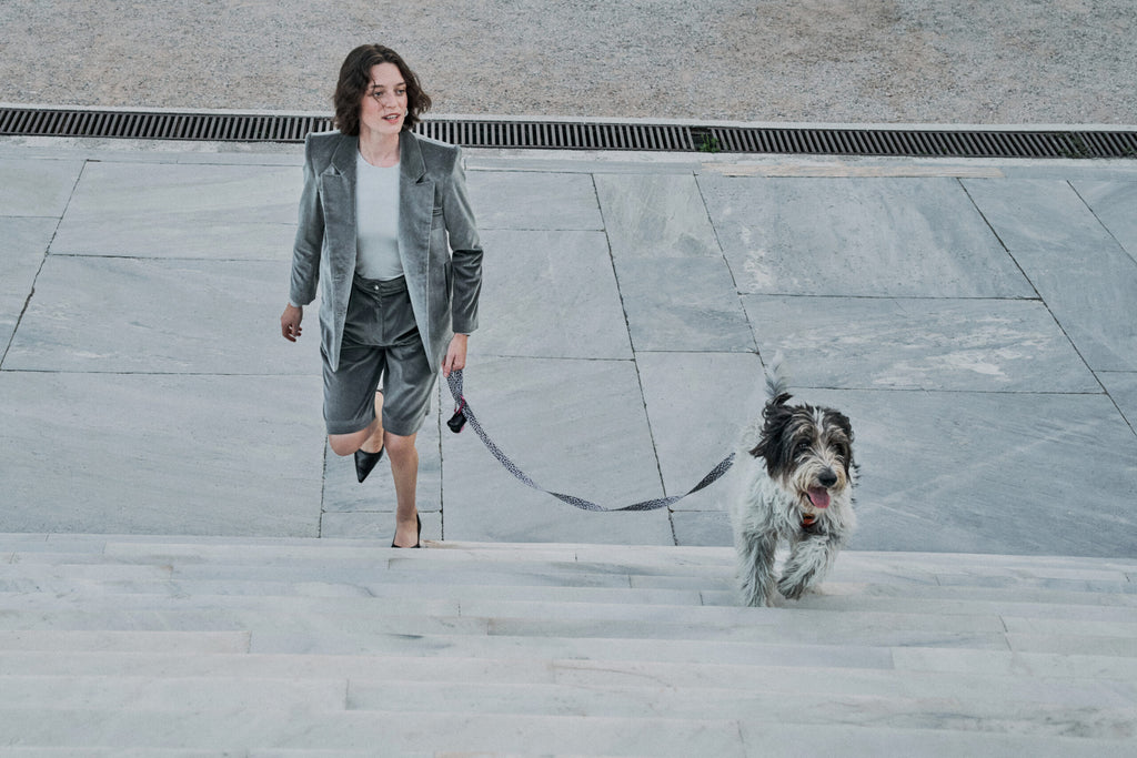 GRIGIO VELVET BERMUDA SHORTS