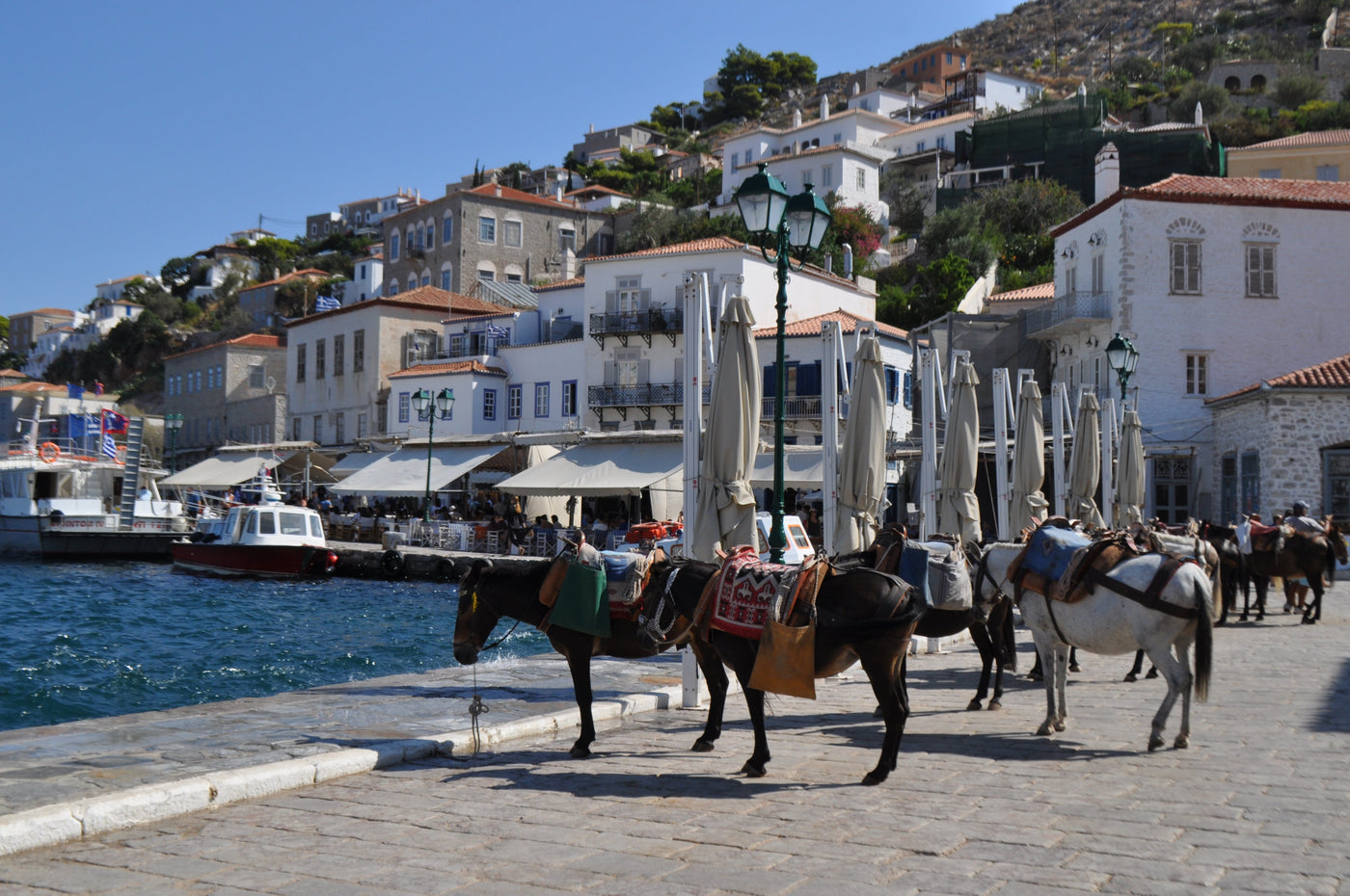 A scenic coastal harbor scene from Hydra, Greek Island with donkeys saddled on a stone pier in the foreground, white buildings with red-tiled roofs, boats in the water, and a hillside village under a clear blue sky. Shot by Creative Director of Nevro Blazer, Eleanna Tabouri, 2026.