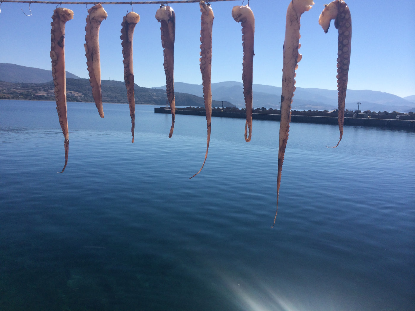 Several dried octopus tentacles hanging from a rope over a blue sea with mountains in the background.