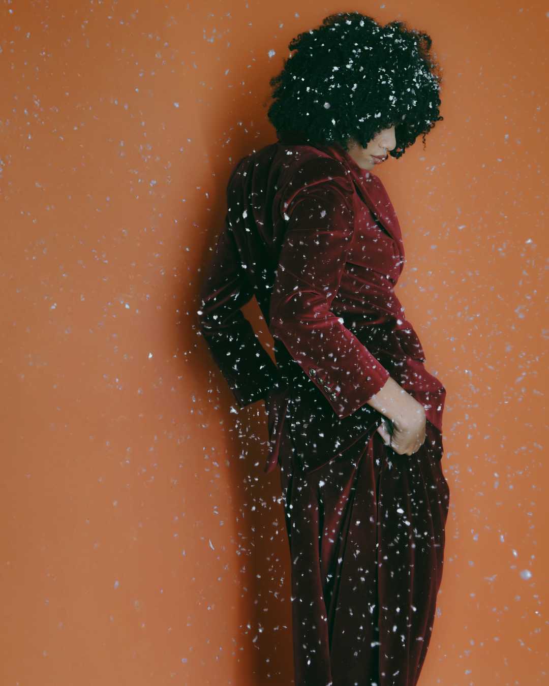 burgundy velvet nobility